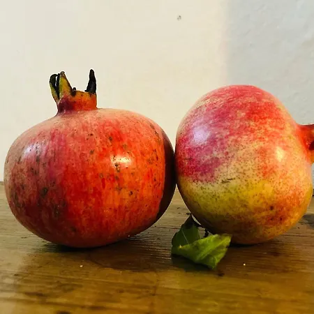 Bed & Breakfast Il Melograno Martis