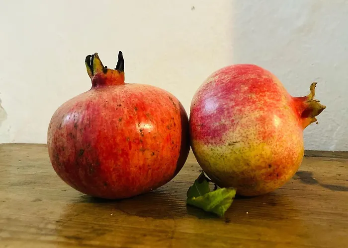 Frühstückspension Il Melograno Martis